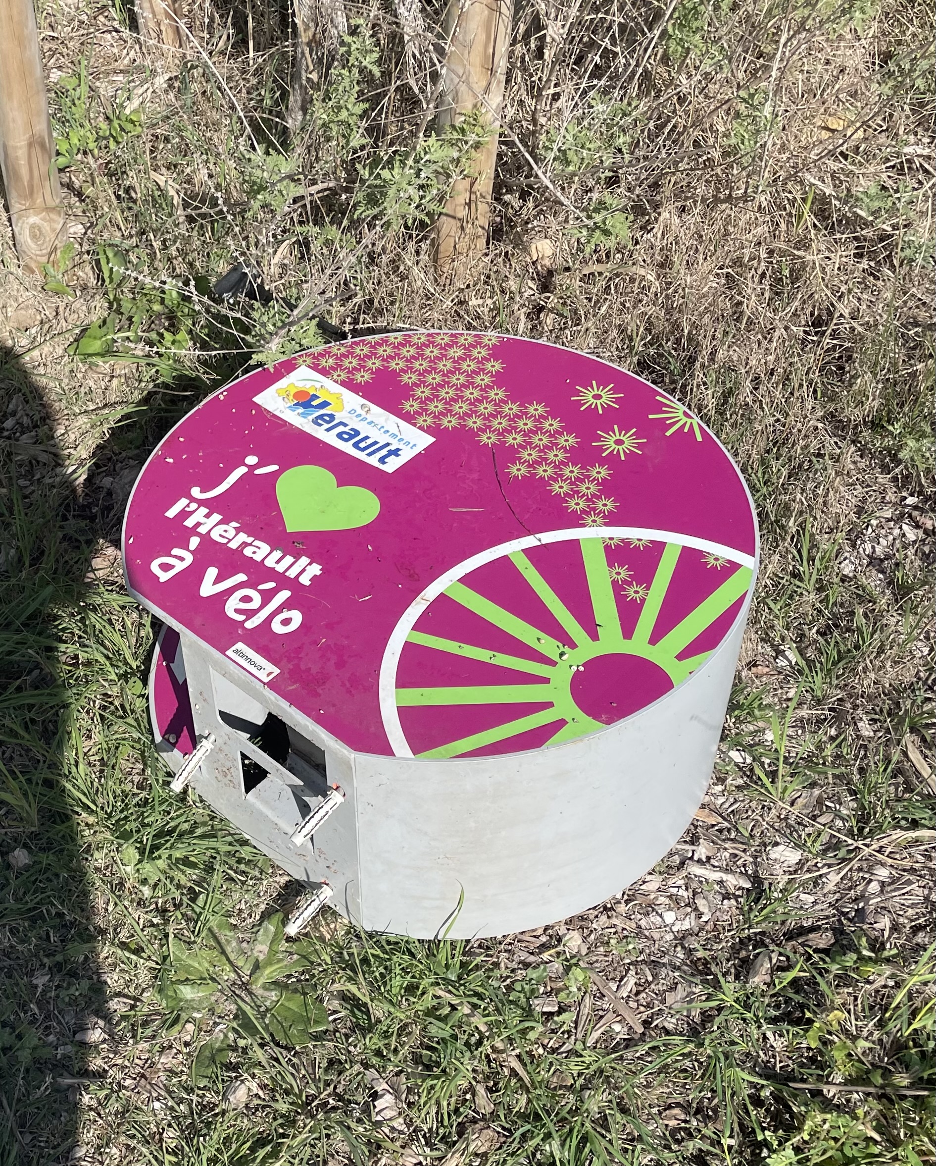 Photo du signalement