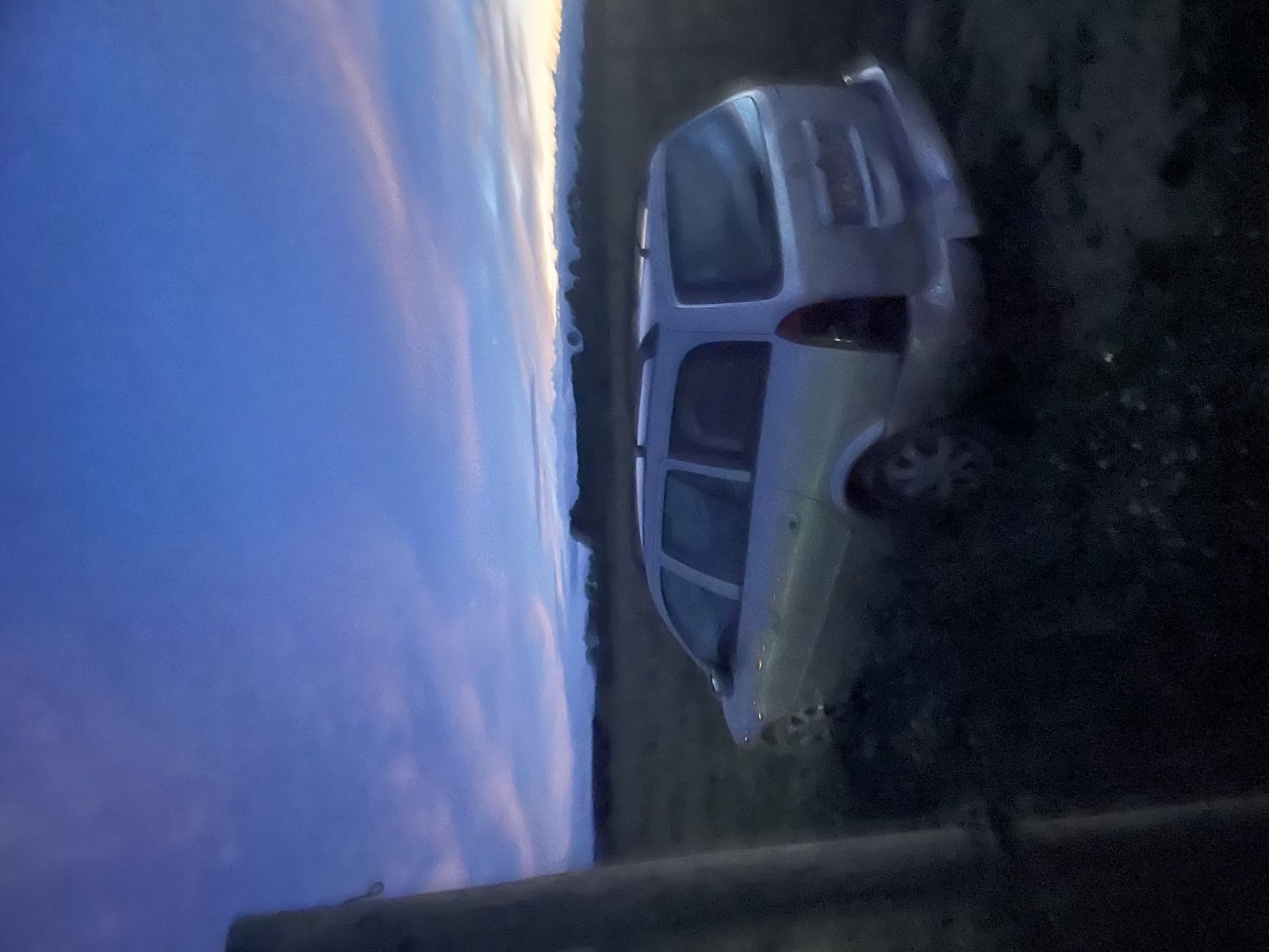 Photo du signalement