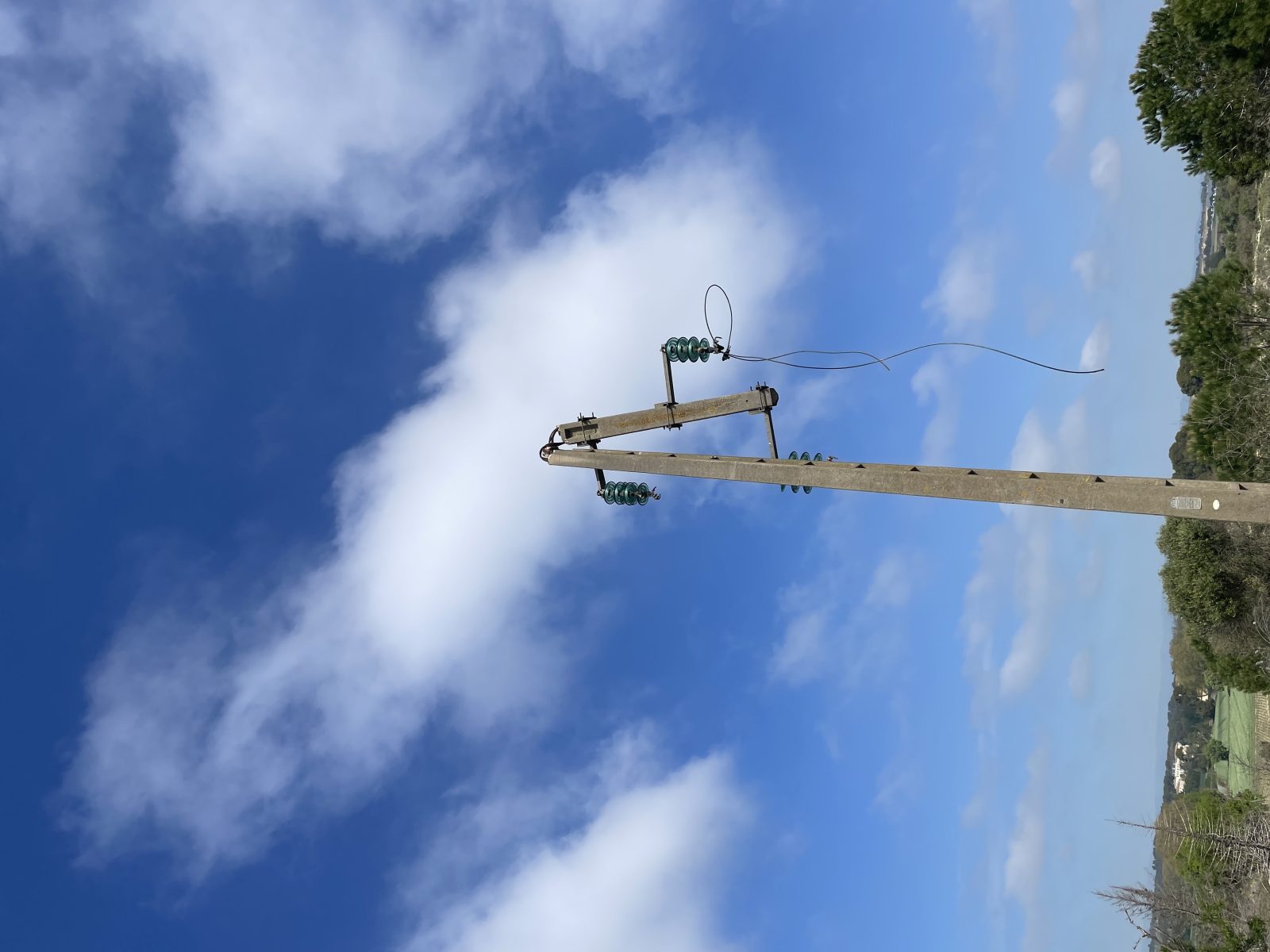 Photo du signalement