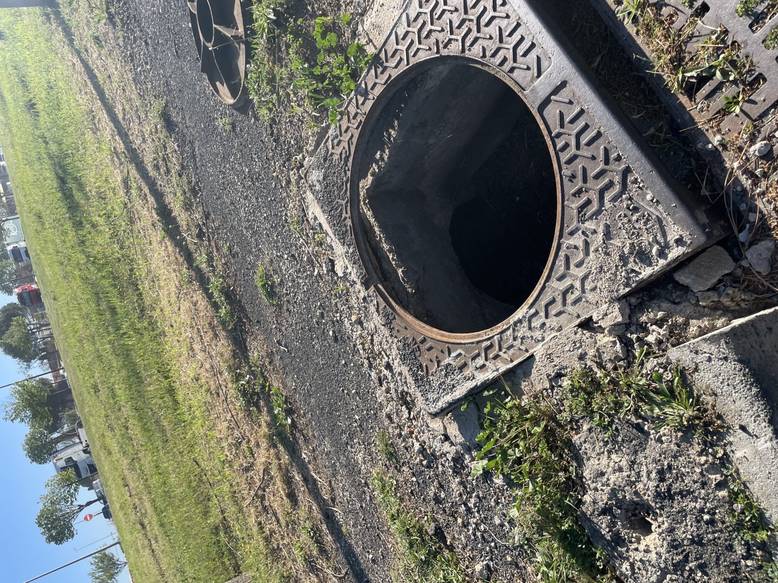 Photo du signalement