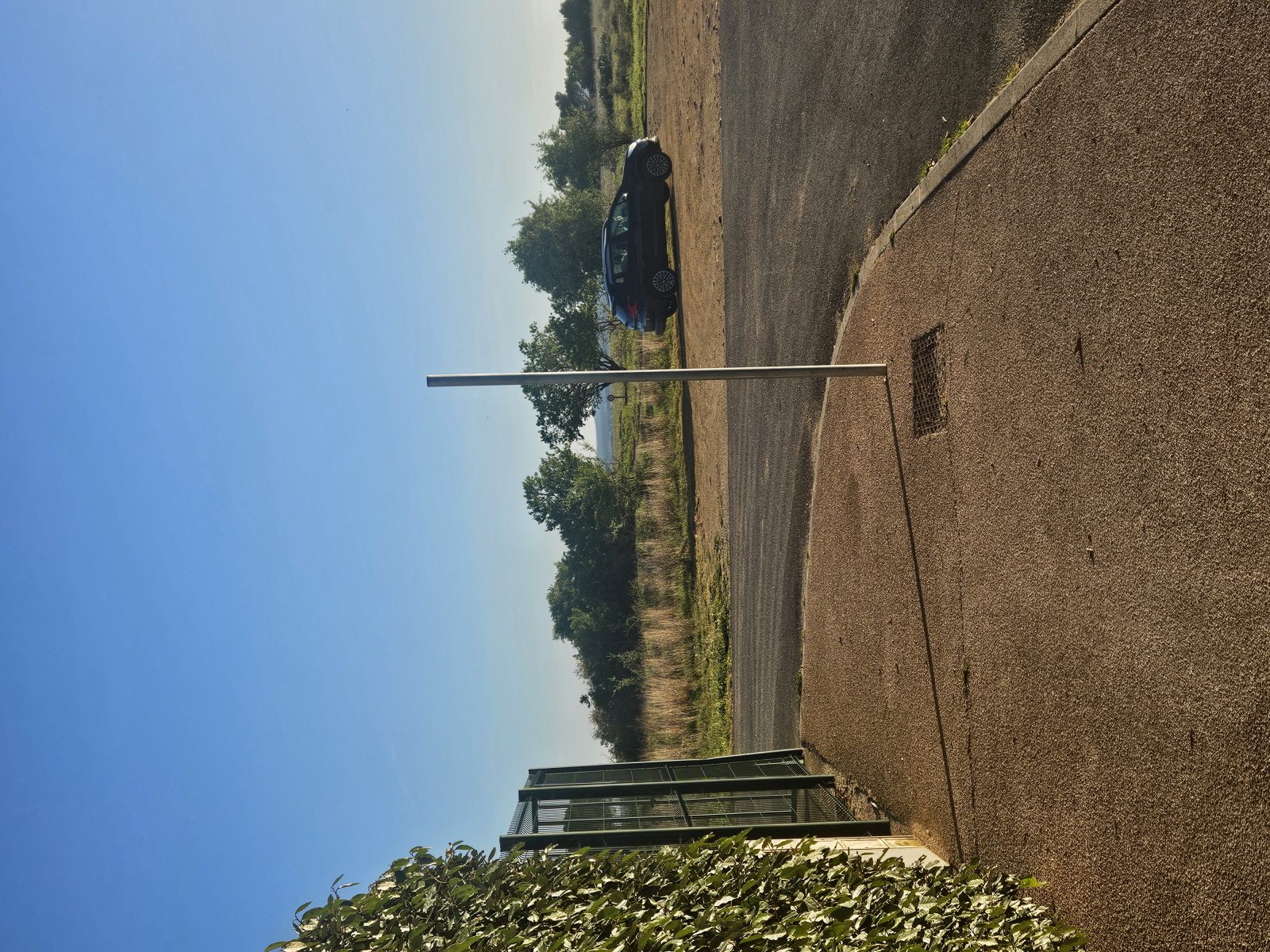 Photo du signalement