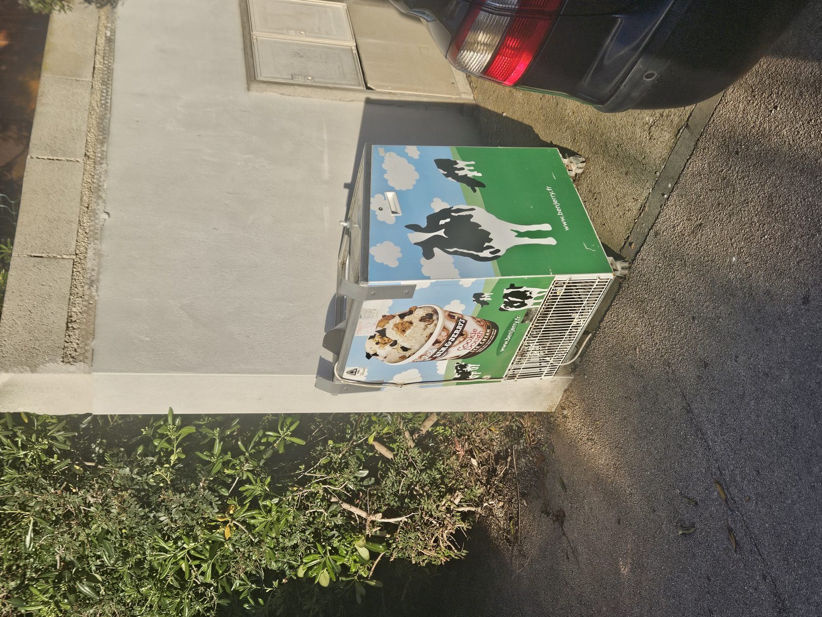 Photo du signalement